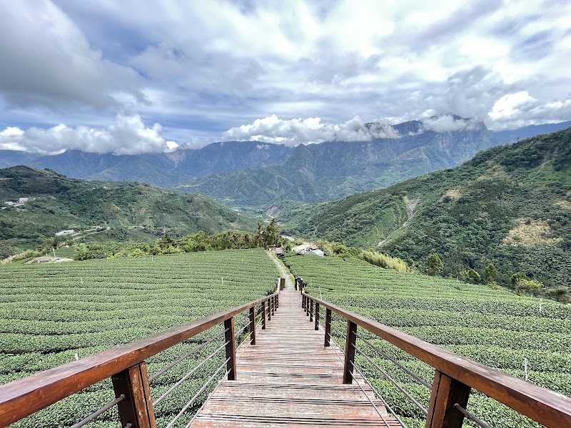 Longzaiwei Trail - Longzaiwei Trail 603, Taiwan, Chiayi County, Meishan Township, 太和巃仔尾步道