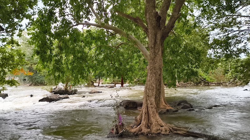 Cini Waterfalls - Cini Waterfalls, 4Q8G+JRG, Dharmapuri - Hogenakkal Rd, Hogenakkal, Tamil Nadu 636810, India
