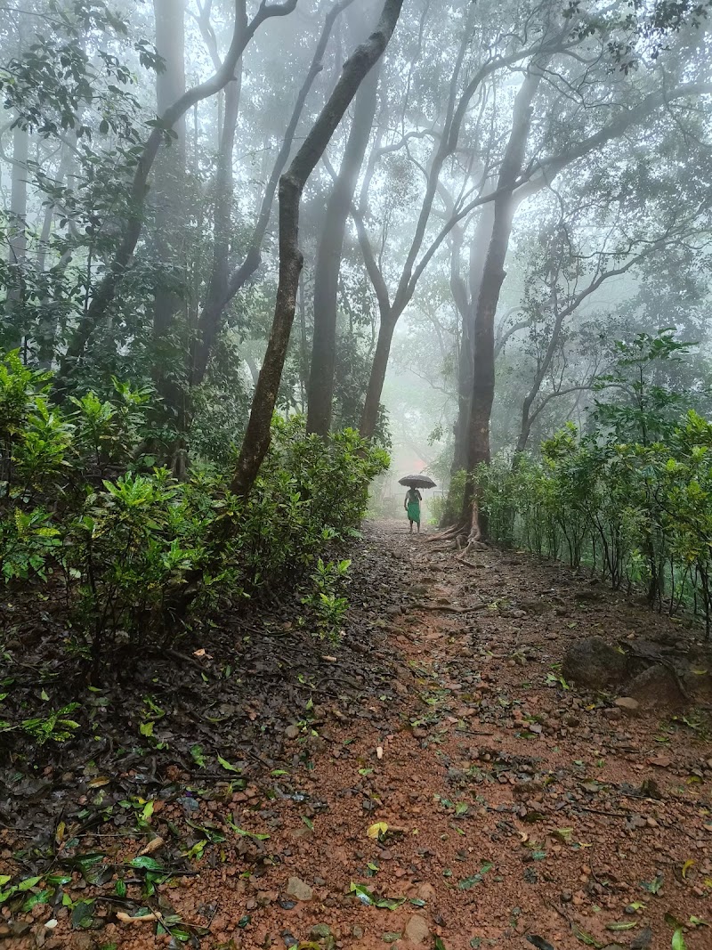 Matheran Tourism - Matheran Tourism Matheran, Maharashtra 410102, India