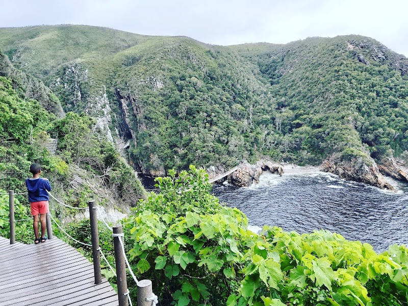 Tsitsikamma - Tsitsikamma, South Africa