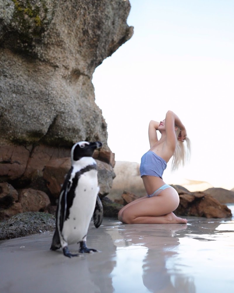Middle Beach - Middle Beach, Boulders Beach, Kleintuin Rd, Simon's Town, Cape Town, 7995, South Africa