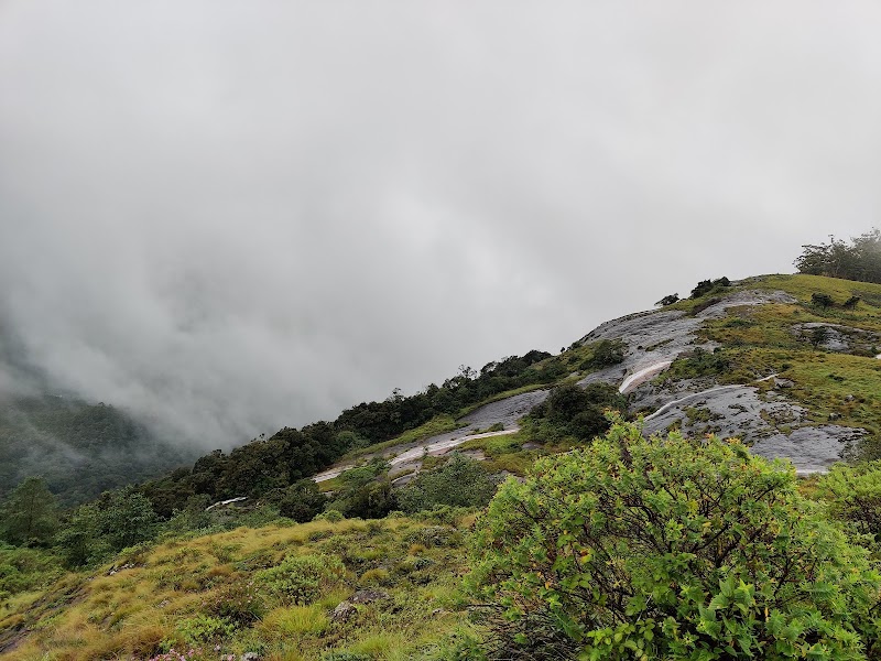 Eravikulam National Park - Eravikulam National Park Kannan Devan Hills, Kerala 685612, India