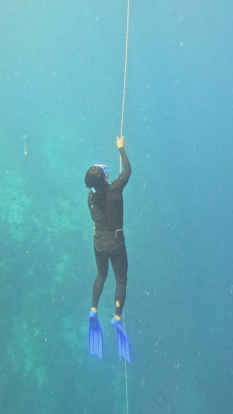 Freediving in Panglao, Bohol | Blue Freedom - Freediving in Panglao, Bohol | Blue Freedom, Relax Divers Resort Purok 5B, Tangnan, Panglao, 6339 Bohol, Philippines