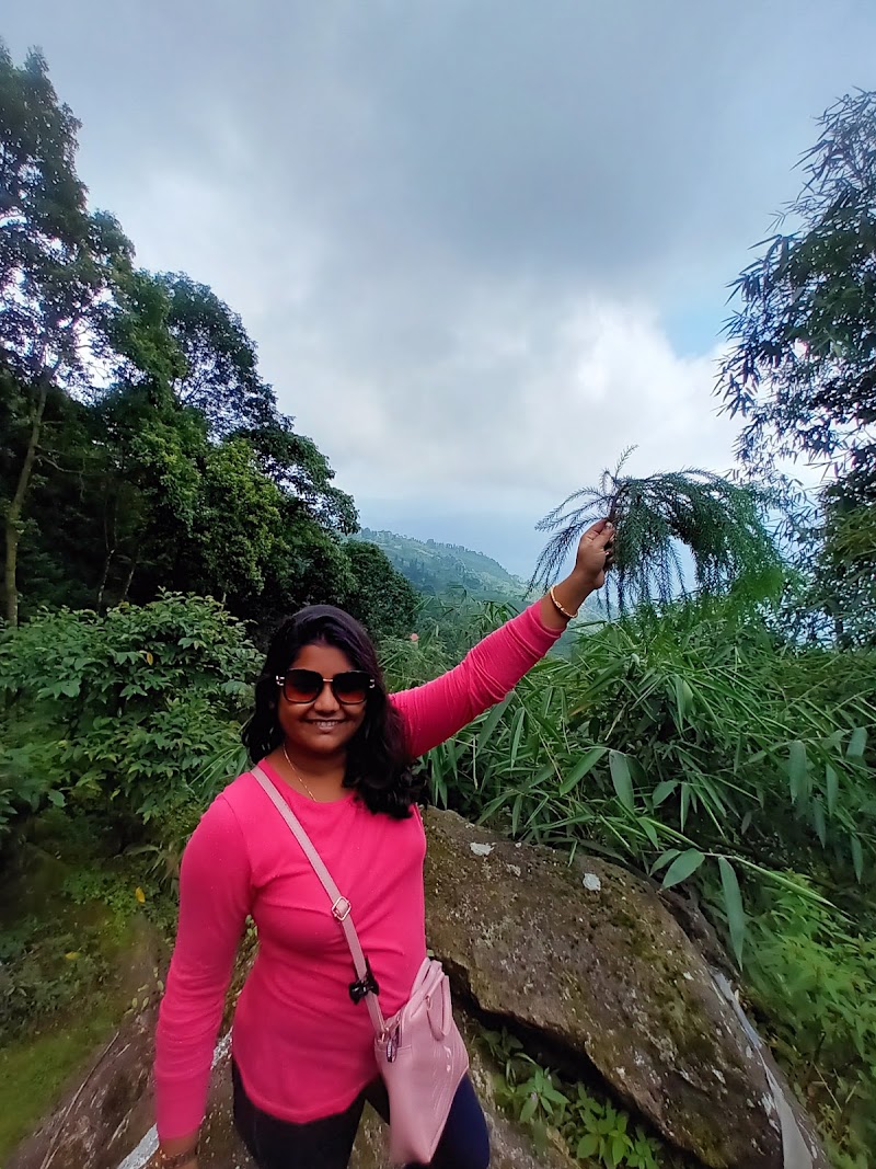 Vaktee Villa Rock Garden - Vaktee Villa Rock Garden 28HX+P38, Unnamed Road, Rangli Ranglot Tea Garden, West Bengal 734226, India