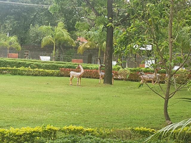 Bhujanga Park - Bhujanga Park 8PJV+CQQ, Brahmagiri, Udupi, Karnataka 576101, India