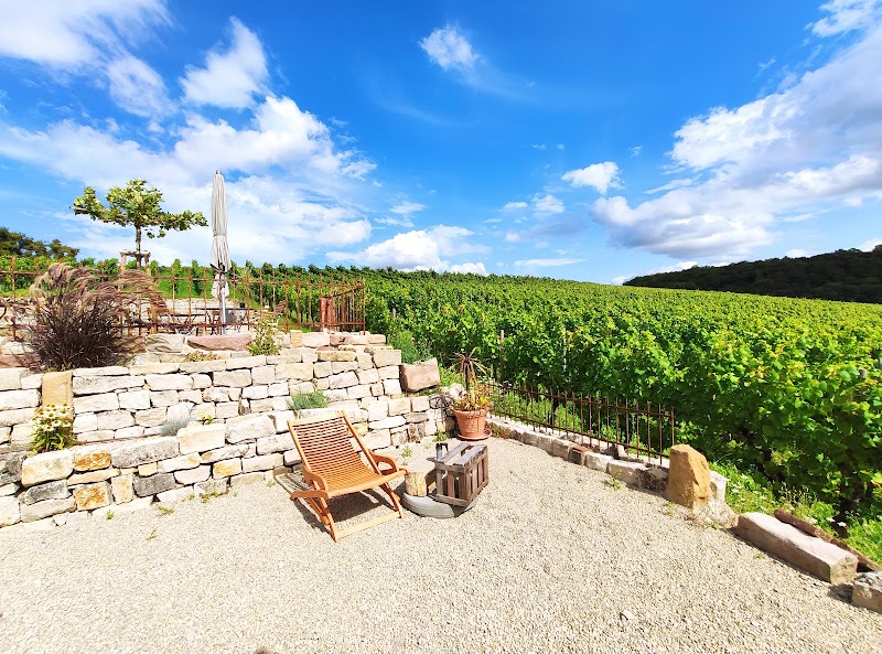 WEINGUT CARLSFELSEN - WEINGUT CARLSFELSEN, Obermoselstraße 2, 54439 Palzem, Germany