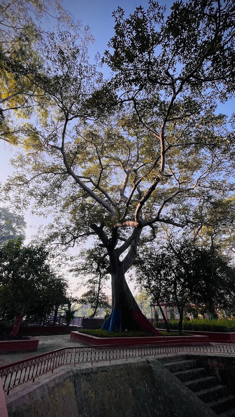 Tara wala Pul - Tara wala Pul Grand Trunk Rd, Ranjit Nagar, Maqbool Pura, Amritsar, Amritsar Cantt., Punjab 143006, India