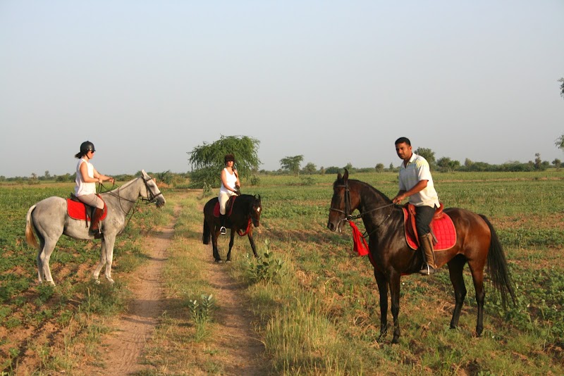 Rohet Garh - Rohet Garh Rohet Garh, Rohat, Rajasthan 306421, India