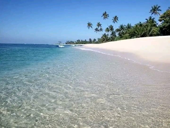 Mirissa Beach