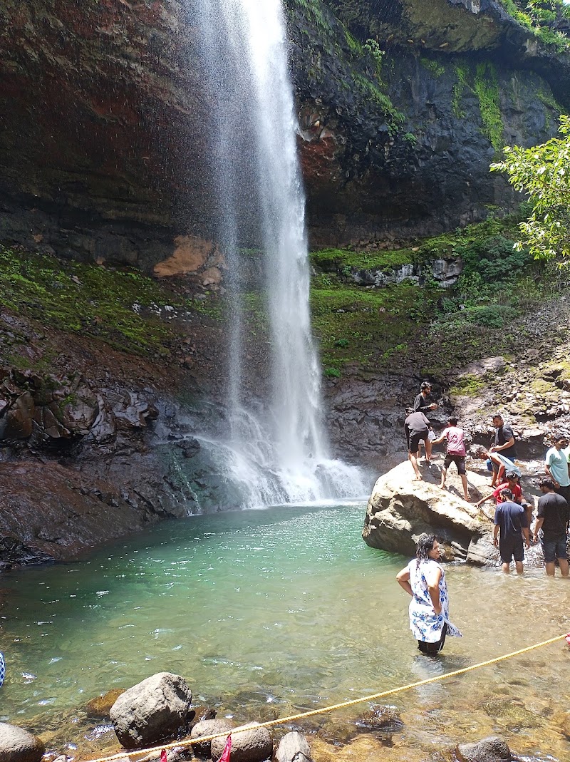 Bhandardara
