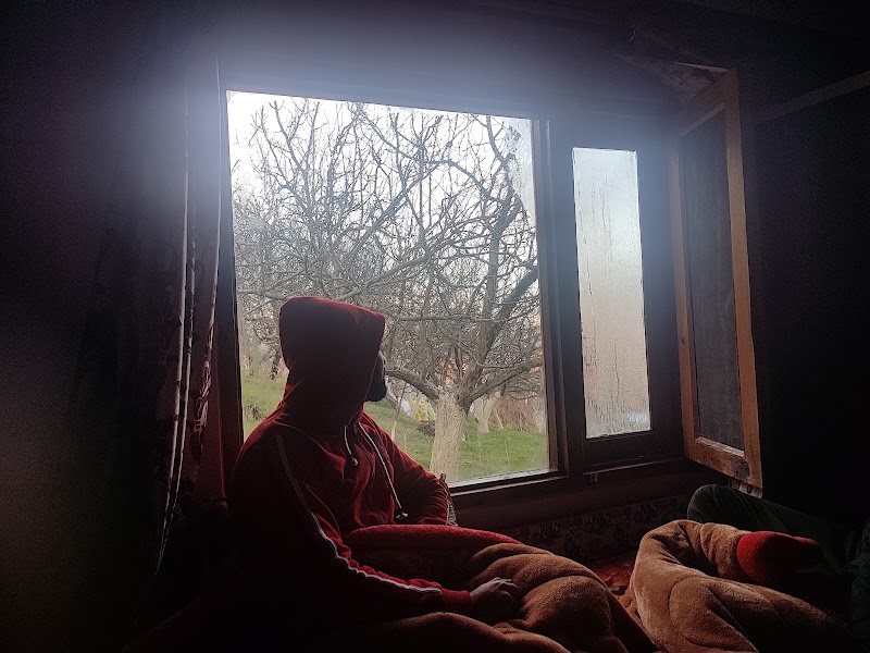 Pine Wood Homestay - Pine Wood Homestay 8F2J+WM7, Kotgarh Hospital Rd, Kotgarh, Himachal Pradesh 172031, India
