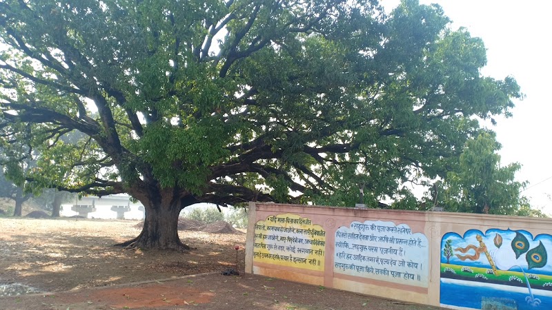 Sant Shri Asharamji Ashram Durg Chhattisgarh - Sant Shri Asharamji Ashram Durg Chhattisgarh 67QJ+GPM, Chikhli, Chhattisgarh 491001, India