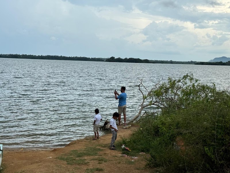 Yala camping tent - Yala camping tent, 78GJ+M7H, Uddhakandara, Sri Lanka