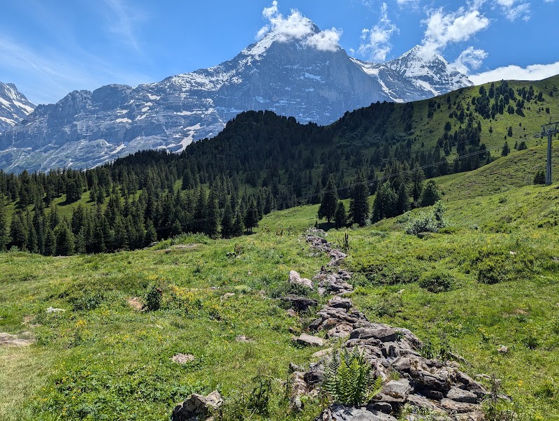 Canyon Swing - Canyon Swing, 3818 Grindelwald, Switzerland