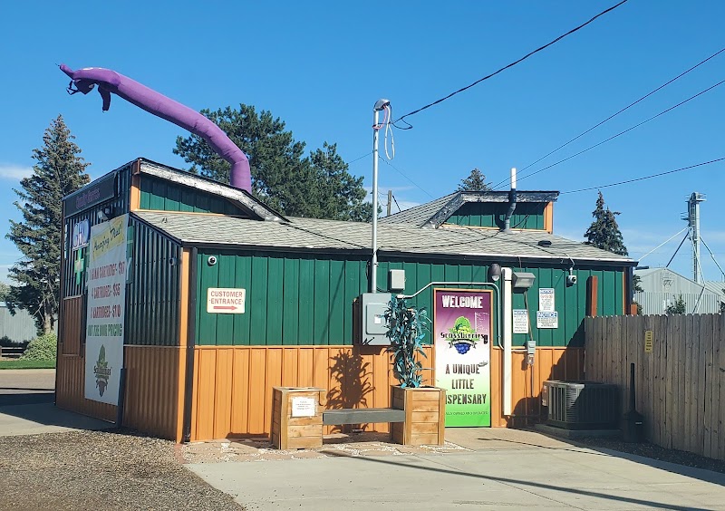 Grassberries Dispensary - Grassberries Dispensary, 213 US-85, Ault, CO 80610, USA