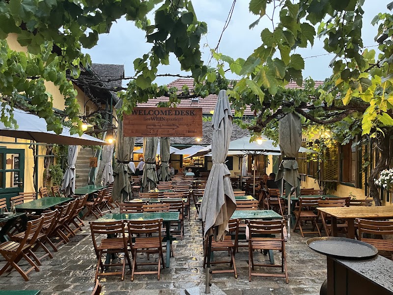 Mayer am Pfarrplatz - Heuriger - Beethovenhaus - Weingut - Mayer am Pfarrplatz - Heuriger - Beethovenhaus - Weingut, Pfarrpl. 2, 1190 Wien, Austria