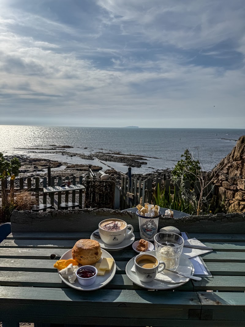 Crail Harbour Gallery & Tearoom - Crail Harbour Gallery & Tearoom, Shoregate, Crail, Anstruther KY10 3SU, UK