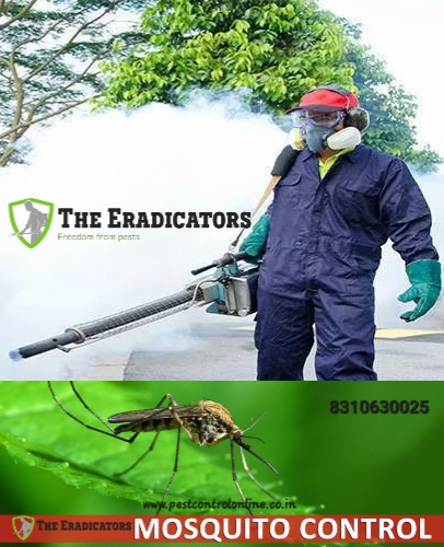 The Eradicators JP Nagar - Best Pest Control Services in Bangalore - The Eradicators JP Nagar - Best Pest Control Services in Bangalore, A-5,G.R TEJAS APARTMENT, 14th Main Rd, Kothnur, RBI Layout, JP Nagar 7th Phase, J. P. Nagar, Bengaluru, Karnataka 560078, India