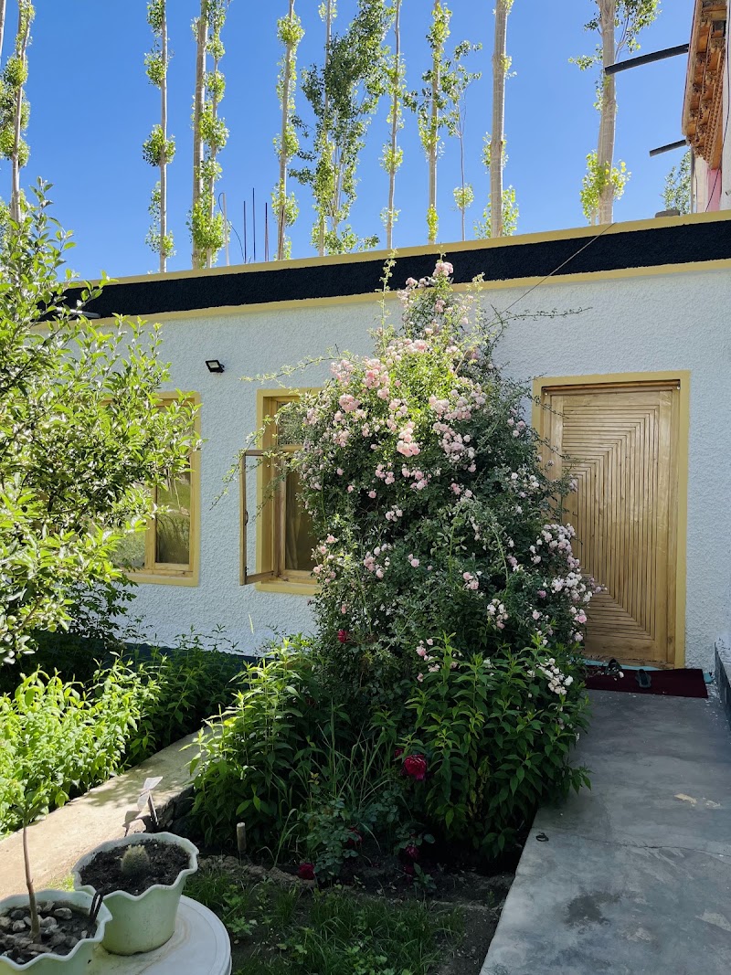 NAPISHU GUEST HOUSE , Leh Ladakh - NAPISHU GUEST HOUSE , Leh Ladakh, Lower Tukcha Rd, napishu house, Leh, 194101