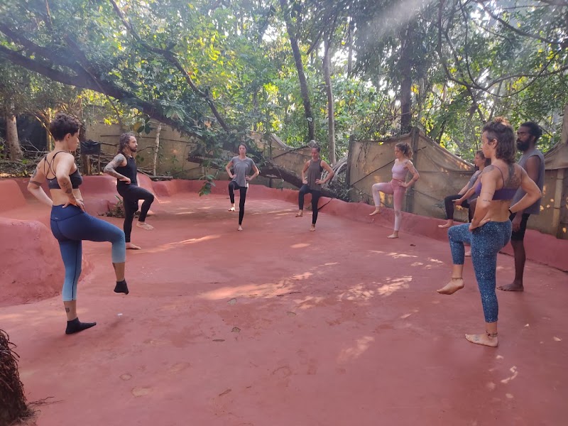 Bliss Circus - Bliss Circus Ourem Rd, inside Traverse Hostel, Mohanbagh, Palolem, Canacona, Goa 403702, India