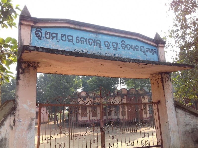 Veer Manohar Sing nodal U.P. School, Jandol - Veer Manohar Sing nodal U.P. School, Jandol, 5PQP+GGG, Jandol, Odisha 768104, India
