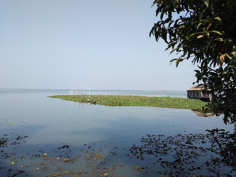 Brackish Lagoons Alleppey - Brackish Lagoons Alleppey G9G4+3QP, Punnamada, Kottankulangara, Alappuzha, Aryad South, Keralam 688006, India