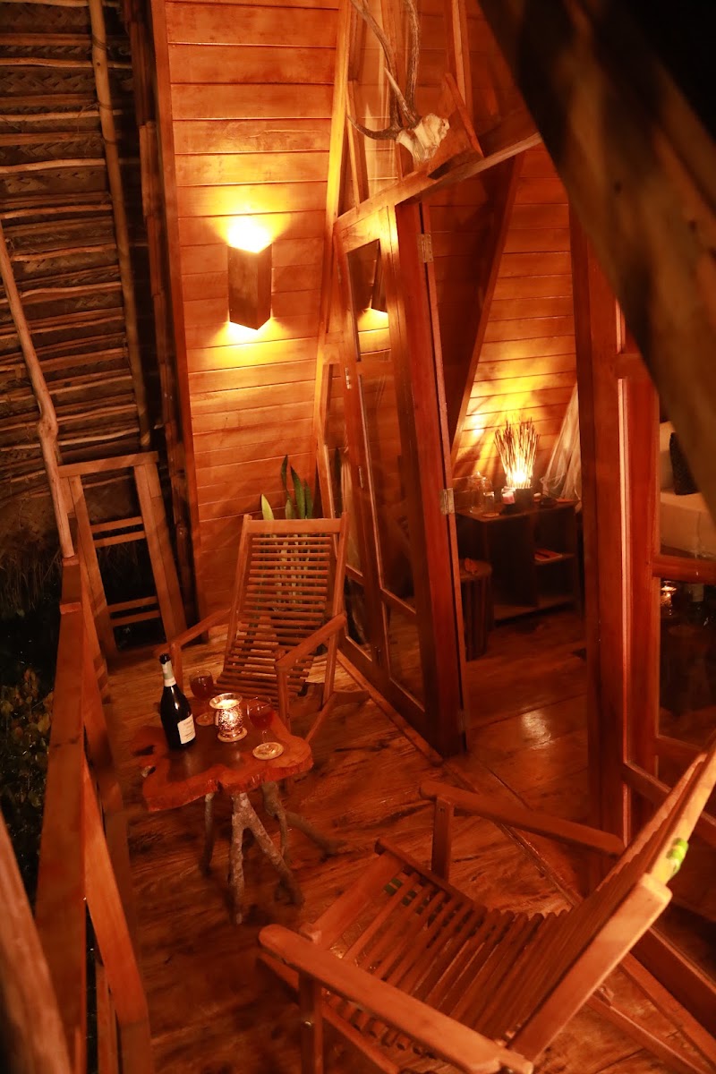 Cinnamon Paradise, Ahangama - Cinnamon Paradise, Ahangama Sharamadana Mawatha, Ahangama, Sri Lanka