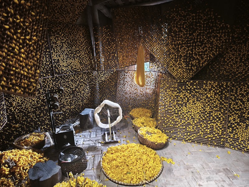 Silk Farm Bến Giá - Silk Farm Bến Giá, Thôn Hạ Trạo, Hoa Lư, Ninh Bình 08000, Vietnam