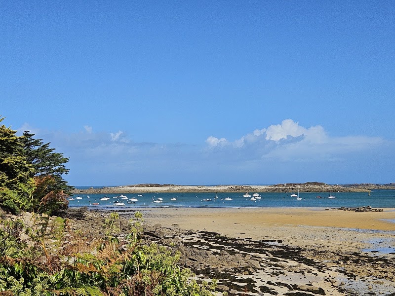 Plage de Toul Gwenn - Plage de Toul Gwenn, 22560 Pleumeur-Bodou, France