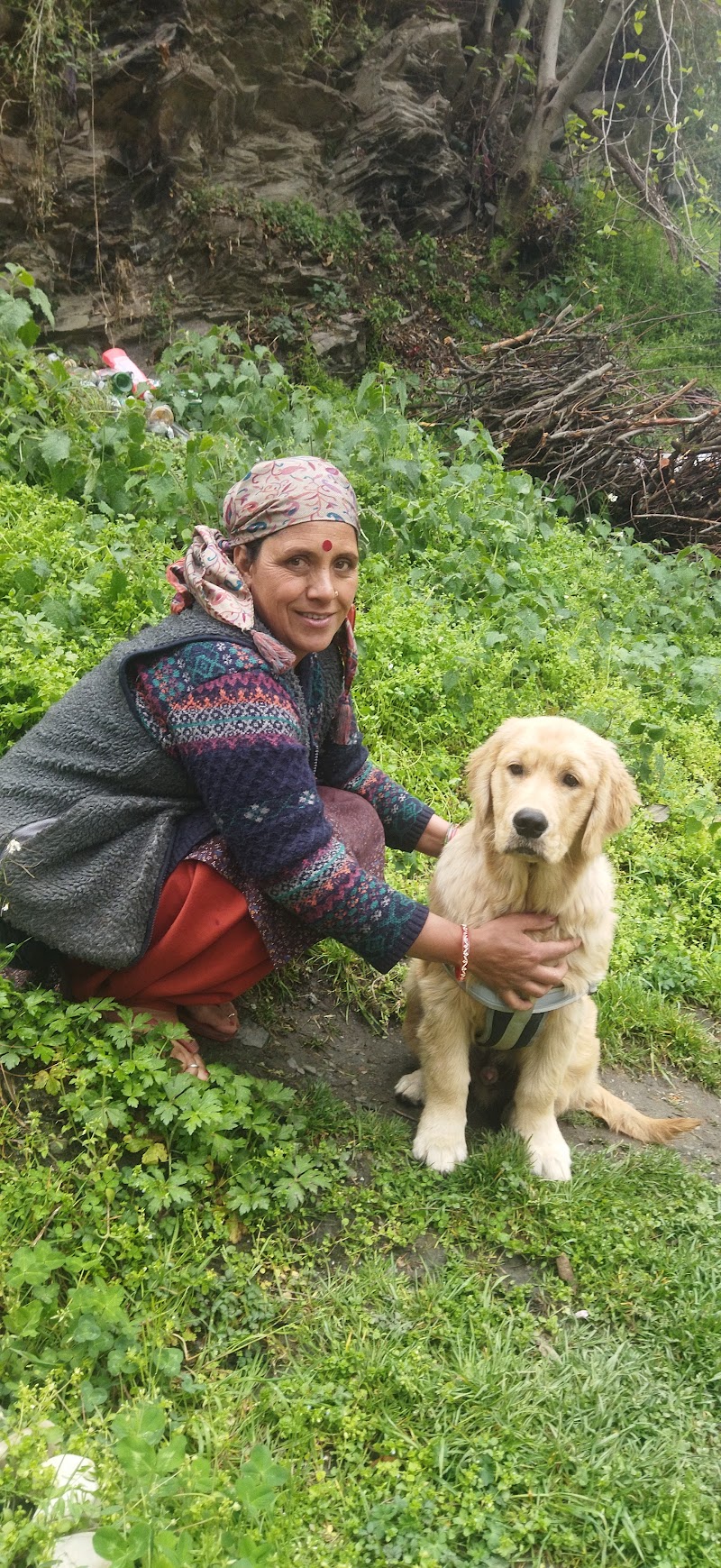 Mejestic Bidagri Treehouse - Mejestic Bidagri Treehouse Village Narhan, Narhan, Jibhi, Bini, Himachal Pradesh 175123, India