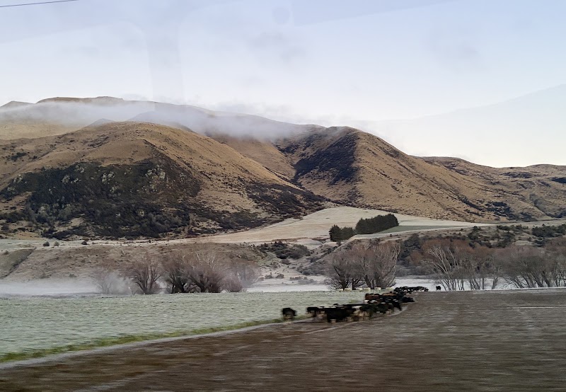 Red Tussock Conservation Area - Red Tussock Conservation Area, New Zealand State Highway 94, Centre Hill 9672, New Zealand