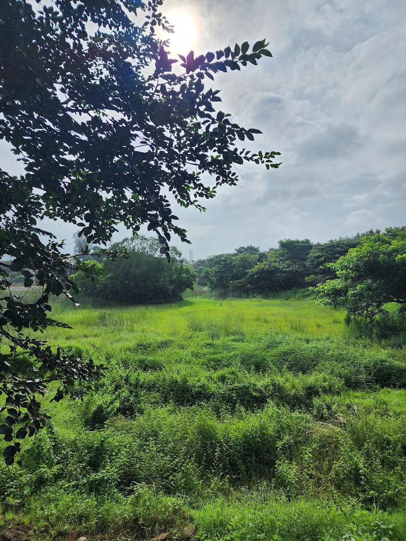 Mesthripalya Lake - Mesthripalya Lake E type Quarters, 1st A cross Rd, 4th Block, Koramangala, Bengaluru, Karnataka 560034, India