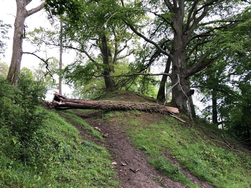 Cadbury Castle - Cadbury Castle South Cadbury, Yeovil BA22 7HA, UK