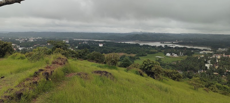 Main View Point - Main View Point PM5F+RJR, SH 85, Bisle State Forest, Karnataka 573123, India