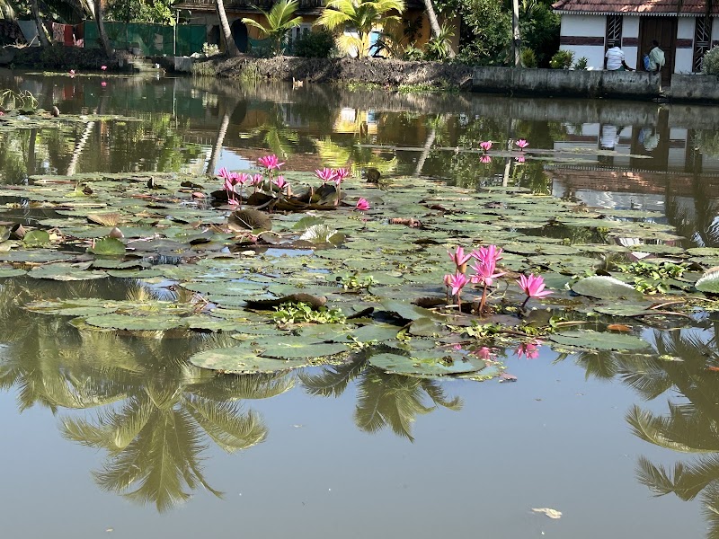 kumarakom Backwater Cruise - kumarakom Backwater Cruise Virippukala, Kavanattinkara, Kumarakom, Kerala 686563, India