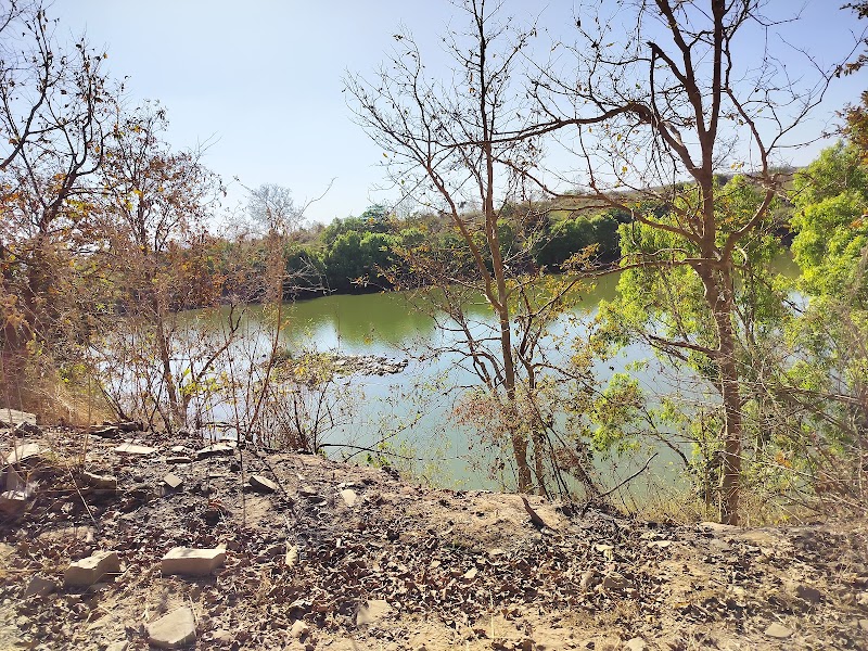 Panna Tiger Reserve - Panna Tiger Reserve, Mohan Niwas Palace, Gahra - Kunjvan Rd, Rani Baag, Panna, Madhya Pradesh 488001, India