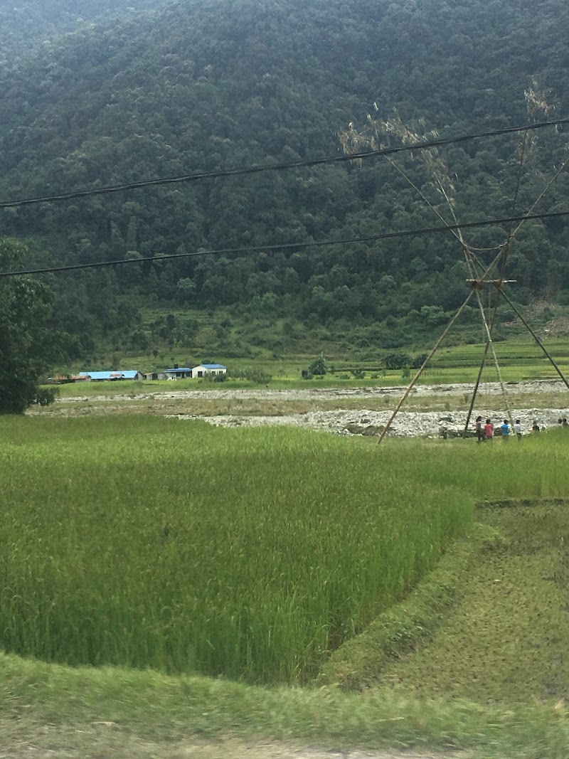Phedi Restaurant फेदी रेष्टुरेन्ट - Phedi Restaurant फेदी रेष्टुरेन्ट, Phedi, Pokhara - Baglung Hwy, Dhital 33700, Nepal