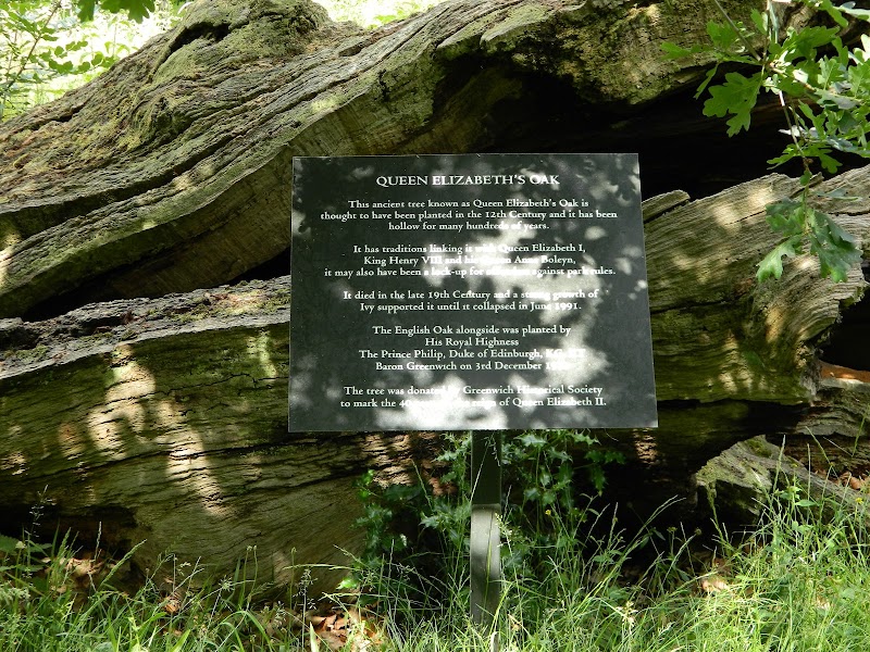 Queen Elizabeth I Oak - Queen Elizabeth I Oak London SE10 9NN, UK