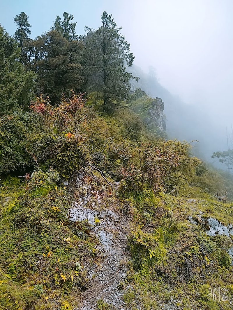 Deoban Trekking (Kaushik's Cafe & Trek) - Deoban Trekking (Kaushik's Cafe & Trek), Lohari Lokhandi, Chakrata, Luhari, Uttarakhand 248123, India
