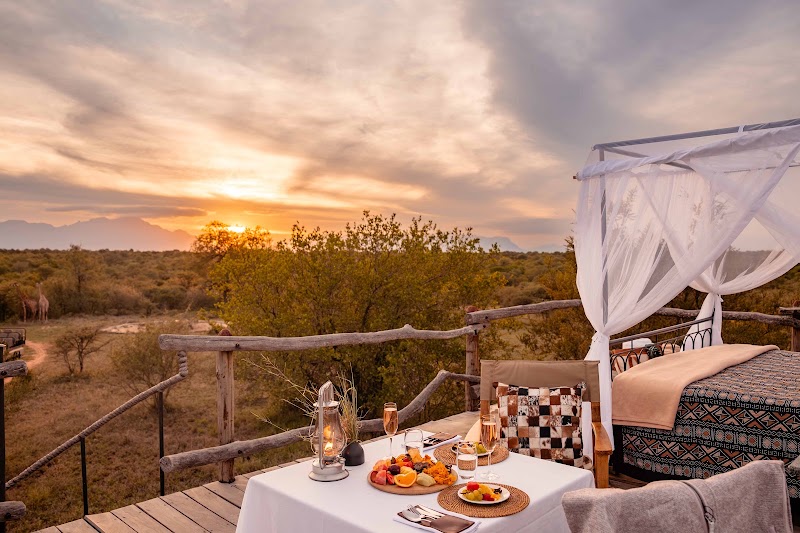 Kapama Private Game Reserve - Kapama Private Game Reserve, Kapama, Hoedspruit, 1380, South Africa