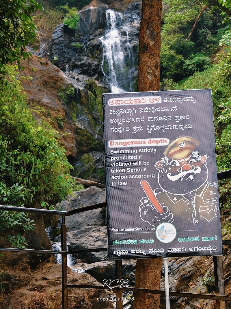 Vibhuthi Falls - Vibhuthi Falls Vibhuthi Falls, Achave, Karnataka 581344