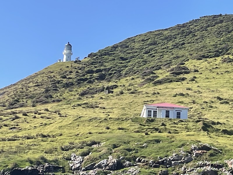 Bay of Islands Adventures Ltd - Bay of Islands Adventures Ltd The Wharf, 69 Marsden Road, Paihia 0200, New Zealand