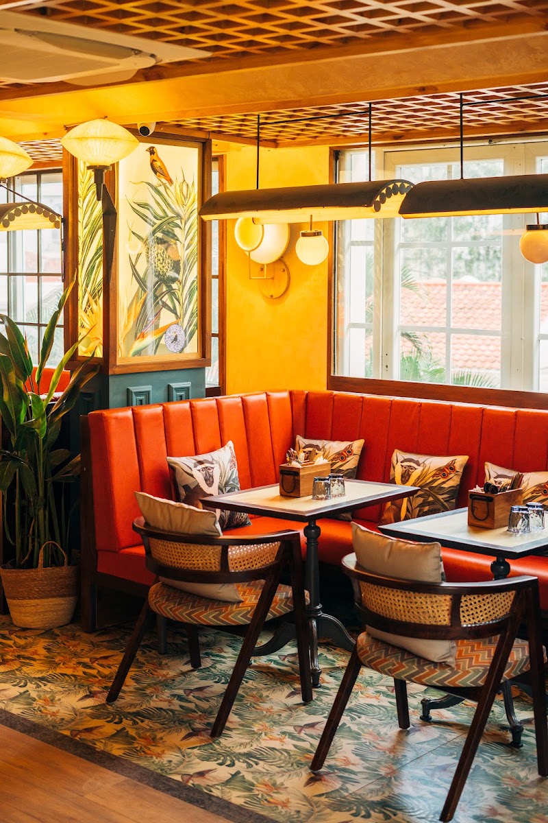 Monkey Bar - Monkey Bar No.1, First Floor, The Museum, Museum Rd, Shanthala Nagar, Ashok Nagar, Bengaluru, Karnataka 560001, India