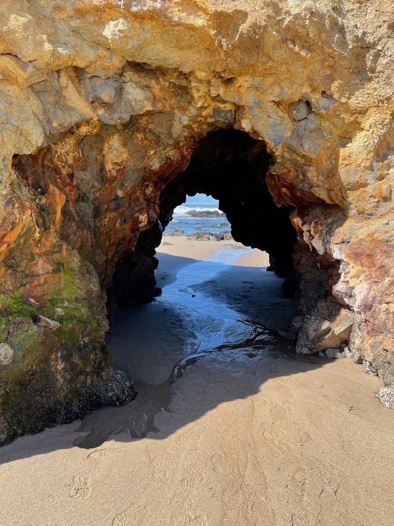 Pescadero State Beach