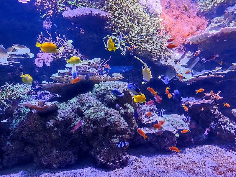 Sevilla Aquarium - Sevilla Aquarium Muelle de las Delicias, s/n, 41012 Sevilla, Spain