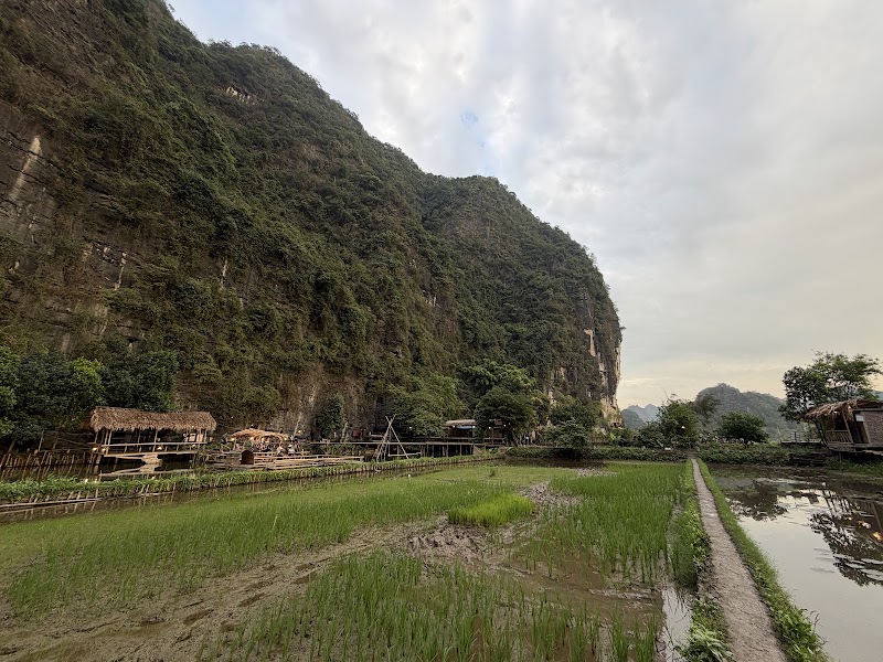 Buffalo Cave - Buffalo Cave, 6WFF+CG, Nam Hoa Lu, Ninh Binh, Vietnam