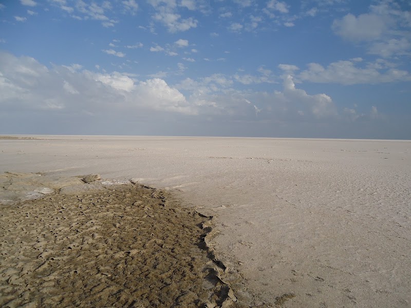 Kutch Adventures India (a.k.a. Desert Adventures Kutch) - Kutch Adventures India (a.k.a. Desert Adventures Kutch), Rotary Colony, Ravalwadi Relocation Site, D 109, near Engineering College Road, Rotary Nagar, Bhuj, Gujarat 370001, India