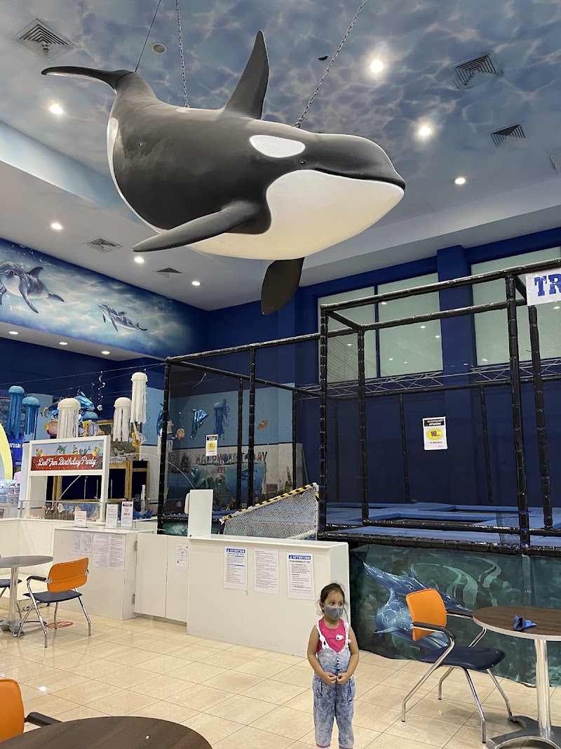 Dubai Dolphinarium - Dubai Dolphinarium Riyadh Street, Inside the Creek Park Gate 1 - Dubai Dolphinarium Building - Dubai Dolphinarium Building - Street - أم هرير الثانية - دبي - United Arab Emirates