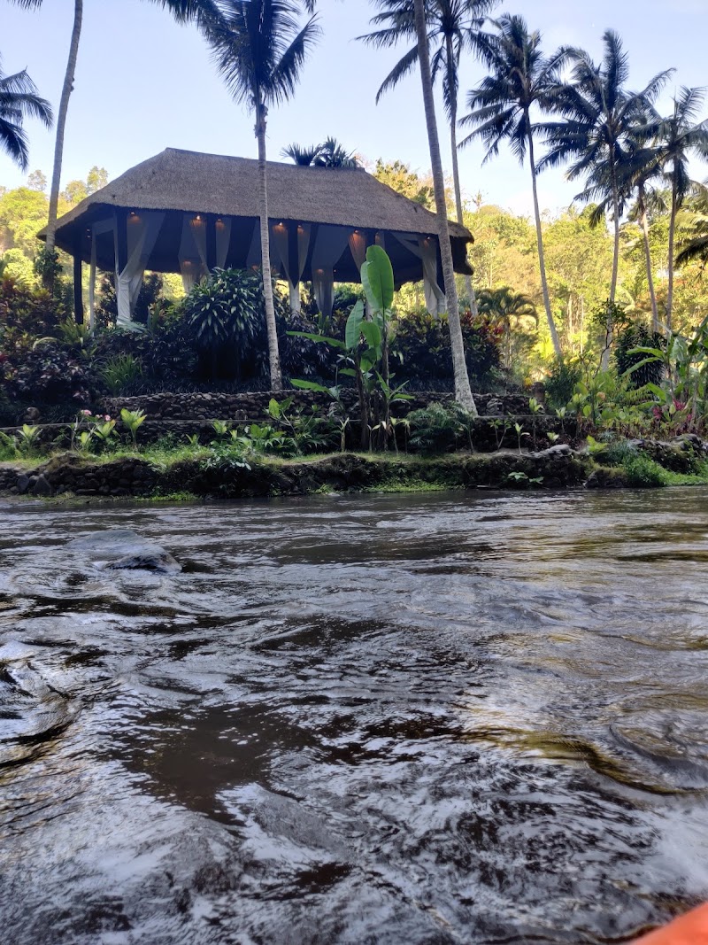 Ayung River Rafting Bali - Ayung River Rafting Bali Jl. Dewi Saraswati No.2, Bongkasa Pertiwi, Kec. Abiansemal, Kabupaten Badung, Bali 80352, Indonesia