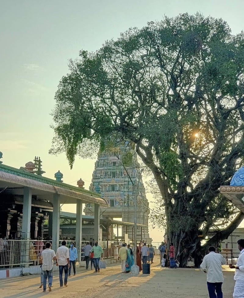 Marudhamalai Adivaram - Marudhamalai Adivaram, Coimbatore, Tamil Nadu 641046, India